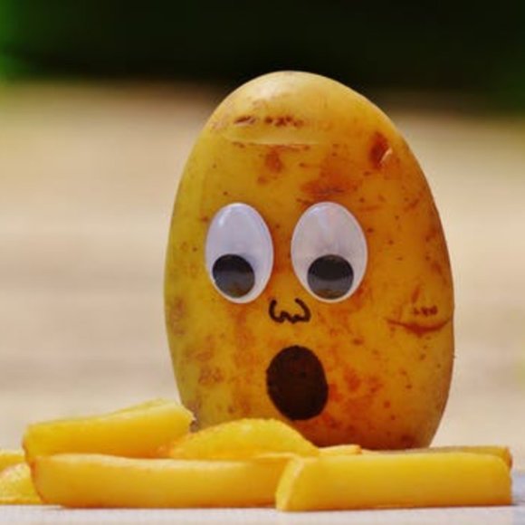 Follow the Potato - Picture 1 of 1